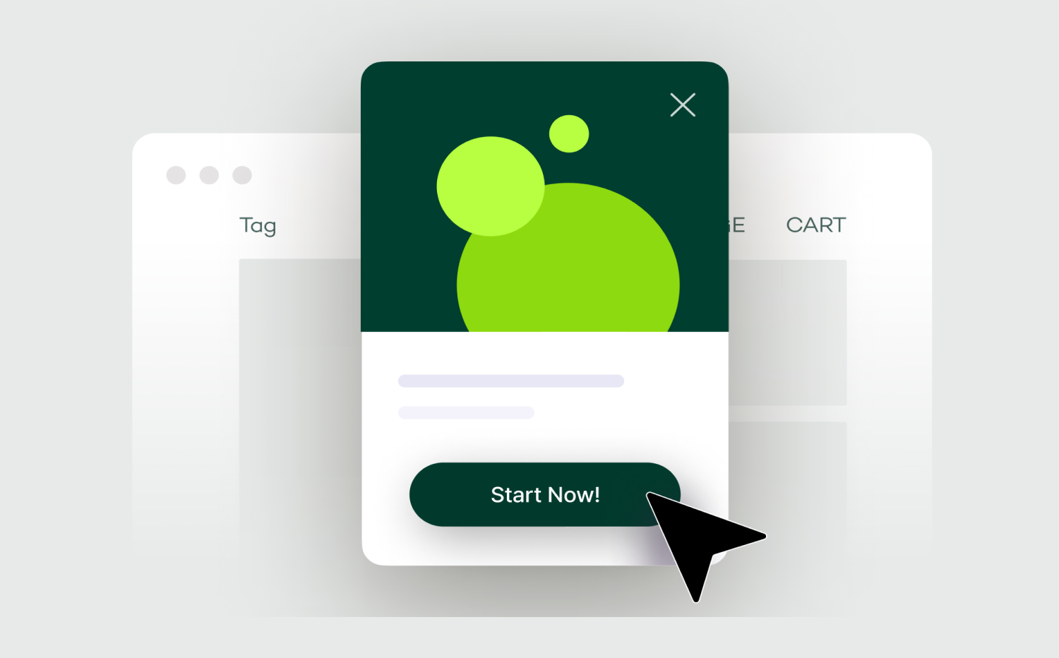 프로모션 테스트